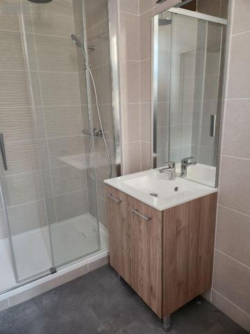 Duplex à louer à Troyes dans l'Aube (10000), ref : 10376/1192   
Centre ville