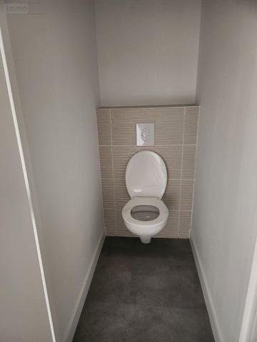 Duplex à louer à Troyes dans l'Aube (10000), ref : 10376/1192   
Centre ville