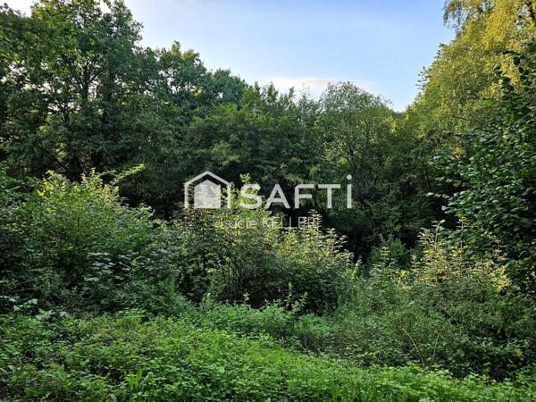 Magnifique terrain de 38 ares 90