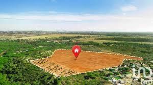 Terrain à vendre 302 m² Le Château-d'Oléron