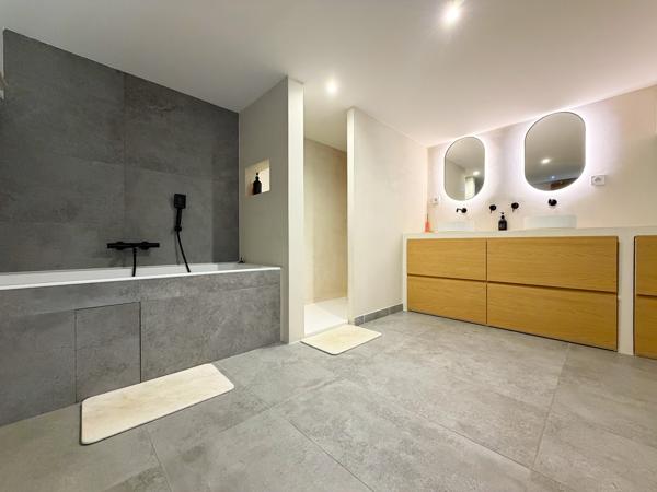 VERNAY - Appartement Loft 220 m²