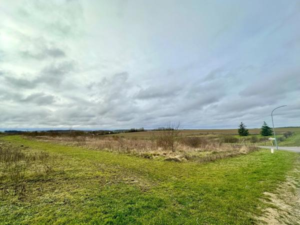 Terrain d'activités viabilisé de 15700 m2 à GALLARDON (28)