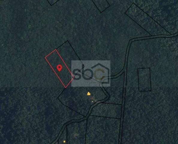 Roura – Terrain constructible 16 361 m² – Lotissement Marguerite - Guyane française