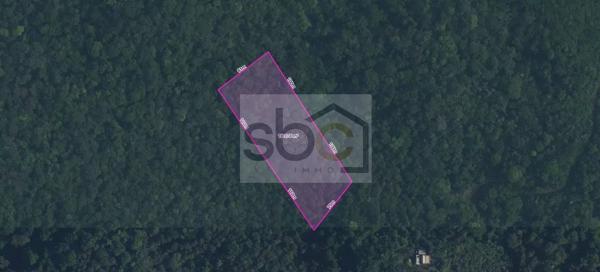 Roura – Terrain constructible 16 361 m² – Lotissement Marguerite - Guyane française