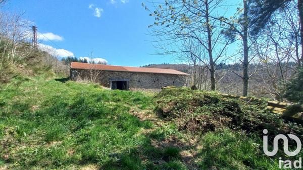 Ferme 4 pièces de 110 m² à Saint-Genest-Malifaux (42660)