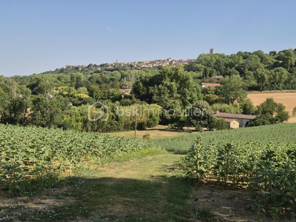 Coup de cœur assuré pour cette magnifique villa de construction traditionnelle (1979) de 200 m² habitables, idéalement exposée à flan de coteaux dans un cadre préservé à seulement 3 km de la cité historique et thermale de Lectoure. Parfaitement entretenue, la propriété est implantée sur une parcelle paysagère de 3 293 m² offrant une vue panoramique magnifique sur la ville de Lectoure d'une part et la chaîne des Pyrénées d'autre part. 
L'intérieur se distingue par ses volumes et sa luminosité. Vous découvrirez un vaste espace de vie de 50 m² avec cuisine ouverte et dînatoire entièrement équipée (avec son îlot central moderne conçu par un cuisiniste local). Ce séjour impressionne par son magnifique plafond cathédrale aux poutres apparentes et son insert à bois chaleureux. Les baies vitrées offrent un accès direct et de plain-pied vers les terrasses extérieures, créant une transition fluide entre l'intérieur, le jardin et la piscine aux belles dimensions 10x5. 
La maison principale propose 5 belles chambres avec placards (de 10 à 13m²) dont 3 mansardées, ainsi que 3 salles d’eau/bain bien réparties. Une pièce indépendante est idéalement aménagée en salle de musique ou de loisirs, une autre en bureau de télétravail, une troisième en buanderie/pièce de rangement de 20m². 
Atout majeur de cette propriété : un appartement indépendant de 35m² tout confort comprenant une chambre, un séjour/cuisine, une salle d'eau/wc et un espace nuit d'appoint en mezzanine,  idéal pour accueillir des proches en toute intimité ou pour générer d'excellents revenus en location saisonnière (très forte demande de vacances dans la région de Lectoure). 
Le parc arboré s'ouvre sur un espace détente d'exception : une grande piscine sécurisée par un volet roulant, entourée de superbes terrasses ombragées par des stores bannes, idéales pour vos repas d'été face aux champs de tournesols et au panorama pyrénéen. Deux garages et une grande cave complètent les prestations. Cette maison est en parfait état, très bien entretenue, avec un confort appréciable l'été grâce aux climatisations réversibles et le double vitrage, et en hiver avec l'insert (DPE en lettre C). Assainissement par Tout-à-l'égout. 

Remarque : durant la période estivale, les visites peuvent avoir lieu de 11h à 16h le 25/07, le 01/08, 15/08, 22/08. Prenez sans tarder rendez-vous au 06 79 15 47 27 pour ne pas rater cette opportunité !