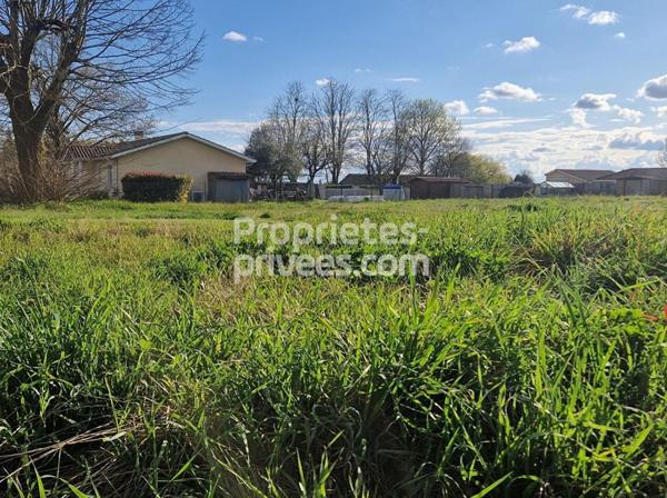 Terrain constructible