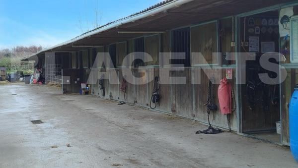 Centre équestre et maison d'habitation, sur un domaine de 2,5 hectares