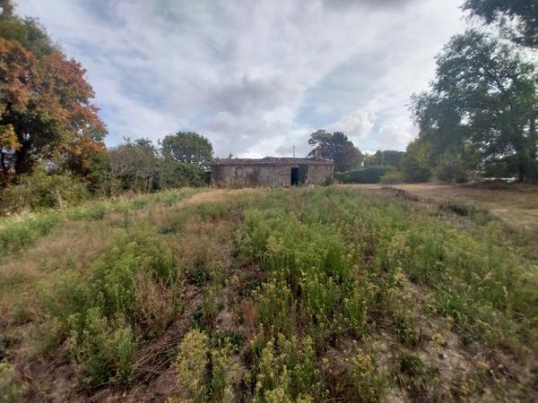 Vente / Maison avec dépendance