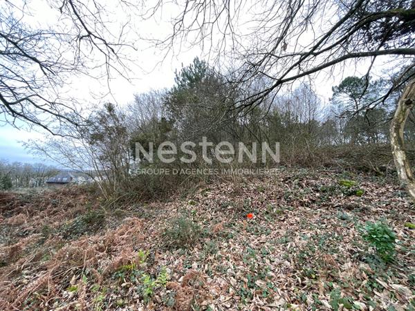Terrain à bâtir Monterblanc / Bretagne Sud / Morbihan