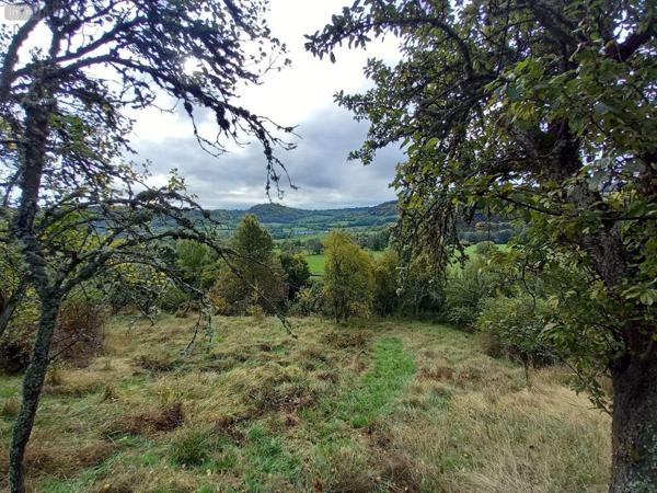 Terrain à Batir à vendre à Murat dans le Cantal (15300), ref : FG/2232