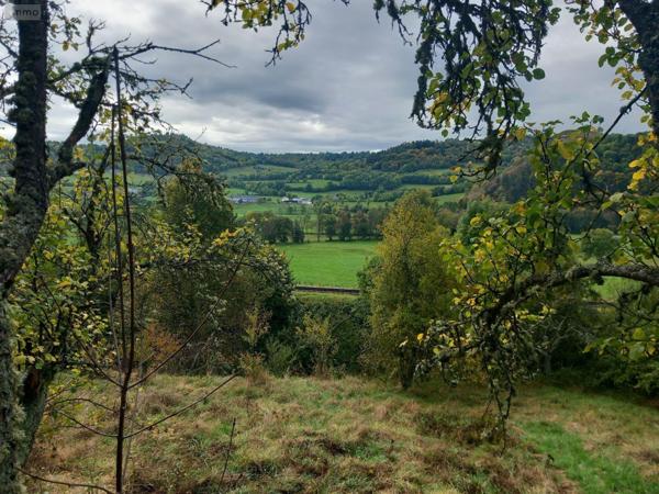 Terrain à Batir à vendre à Murat dans le Cantal (15300), ref : FG/2232
