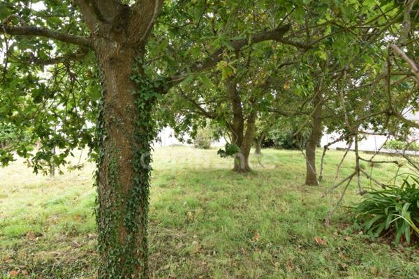 Maison, quartier de Sainte Barbe