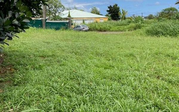 Terrain à vendre    Baie-Mahault