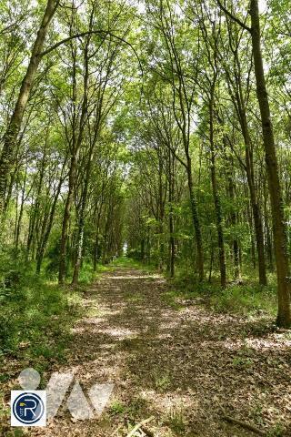 Maison de LOISIRS vente VIAGER