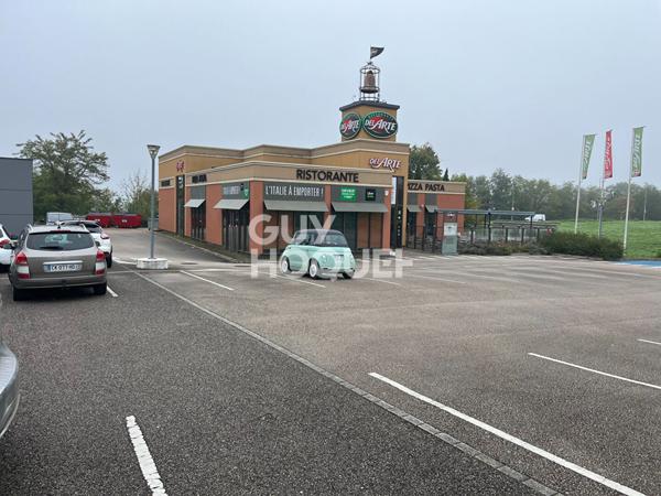 DOLE FONDS RESTAURANT EX DEL ARTE