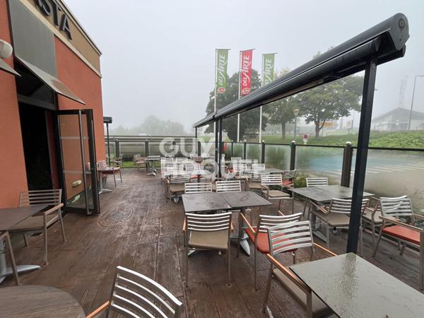 DOLE FONDS RESTAURANT EX DEL ARTE