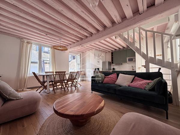 ORLEANS HYPERCENTRE - Appartement 3 pièces 70 m²  avec terrasse - meublé - CHAUFF ET EAUX INCLUS.