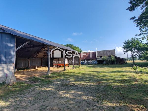 Maison+dépendances+champ 1 hectare- sans voisins