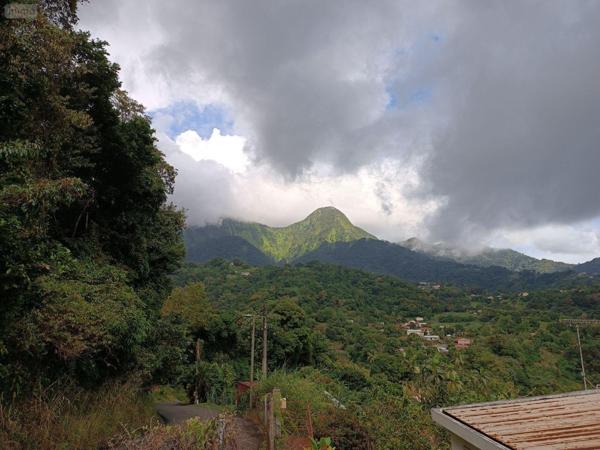 Maison à vendre à Le Morne-Vert en Martinique (97226), ref : 87