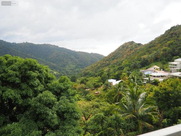 Maison à vendre à Le Morne-Vert en Martinique (97226), ref : 87