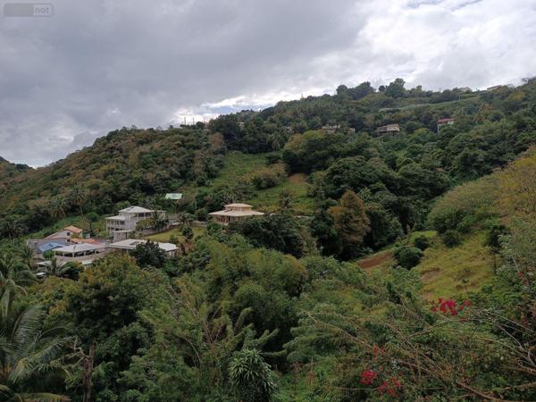 Maison à vendre à Le Morne-Vert en Martinique (97226), ref : 87