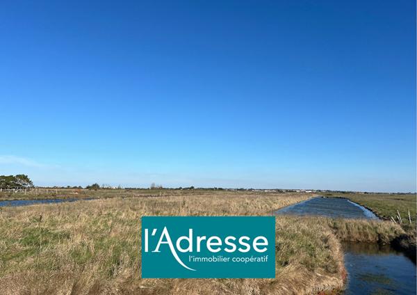 Terrain Beauvoir Sur Mer 6448 m2