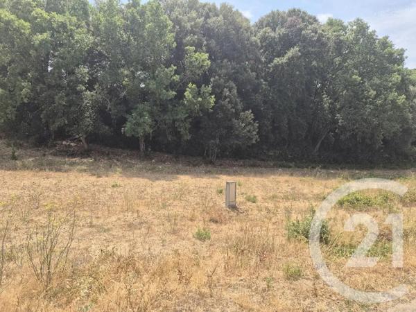 Terrain à vendre  1000 m 2   MOULIN NEUF  - 09