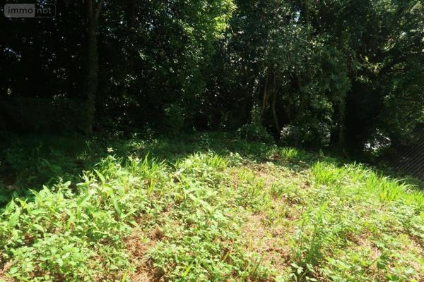 Maison à vendre à Landerneau dans le Finistère (29800), ref : 29038-1621