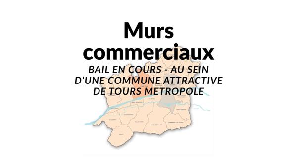 Tours (37000) Immeuble de rapport