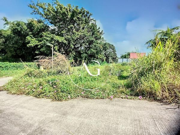 Opportunité à Morne Rouge : Terrain 429 m² prêt à construire