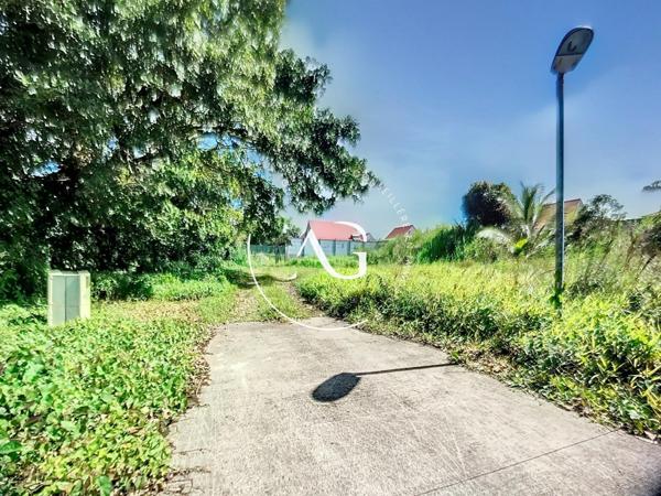 Opportunité à Morne Rouge : Terrain 429 m² prêt à construire