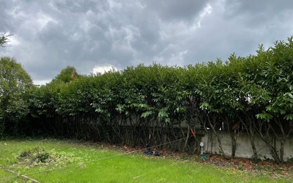 Terrain à vendre    Saint-Xandre