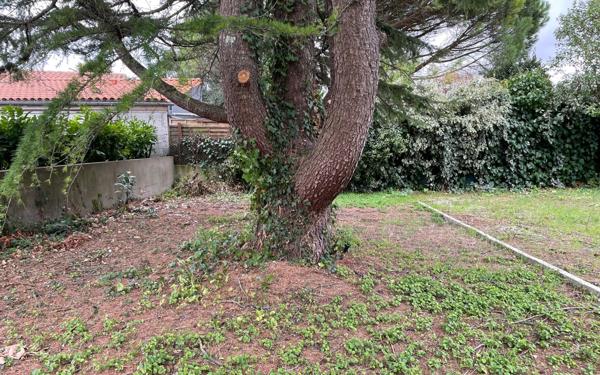 Terrain à vendre    Saint-Xandre