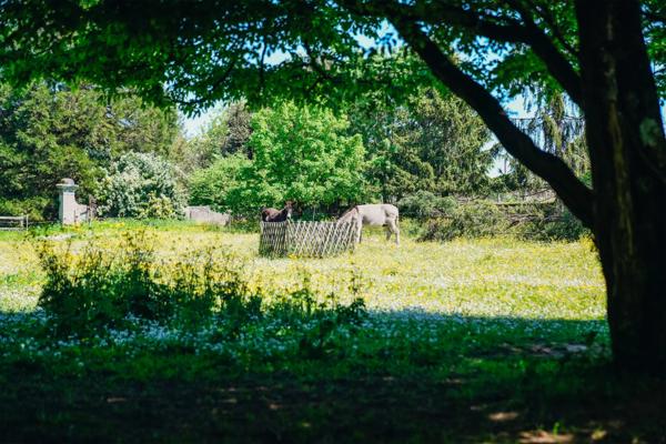 Château Le Pellerin - LOIRE-ATLANTIQUE