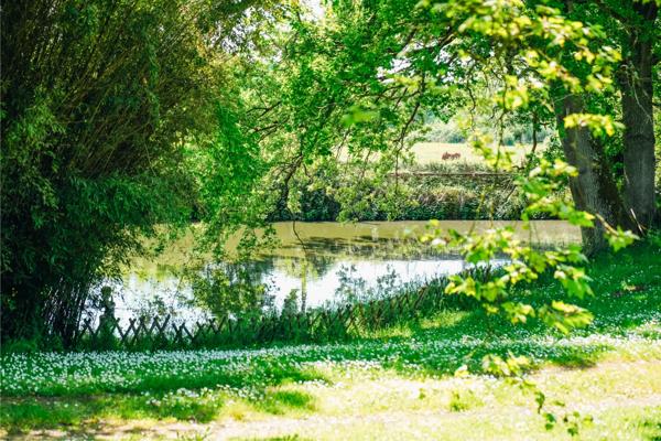 Château Le Pellerin - LOIRE-ATLANTIQUE