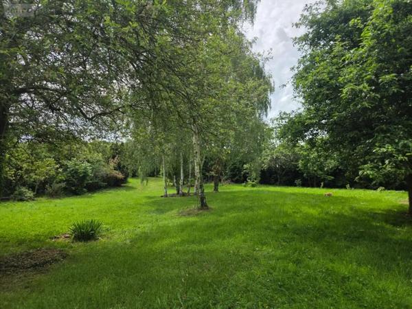 Achat - Terrain de loisirs, bois, étangs Fromentières 53200 2640 m 2