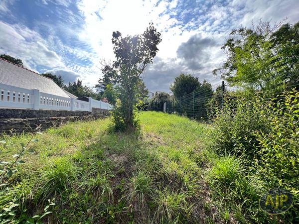 Vente terrain Nort Sur Erdre : 59 250 € - AJP Immobilier Nort-sur-Erdre