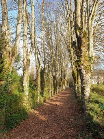 Propriete à vendre à Vaas dans la Sarthe (72500), ref : 125269