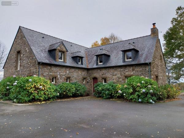 Grande propriété à vendre à Balazé en Ille-et-Vilaine (35500), ref : 35131-152   
Campagne