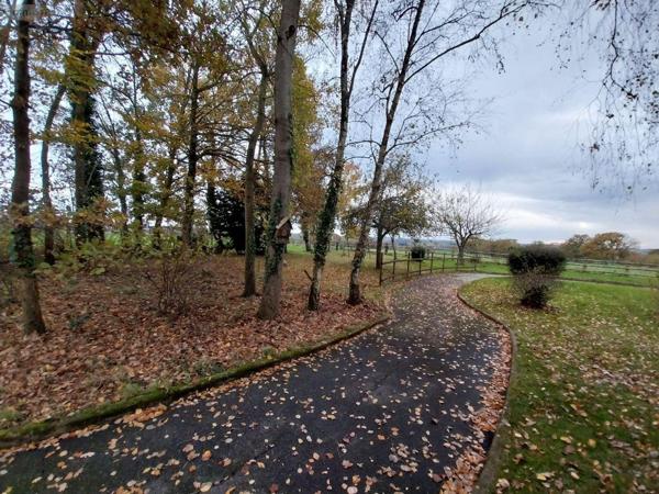 Grande propriété à vendre à Balazé en Ille-et-Vilaine (35500), ref : 35131-152   
Campagne