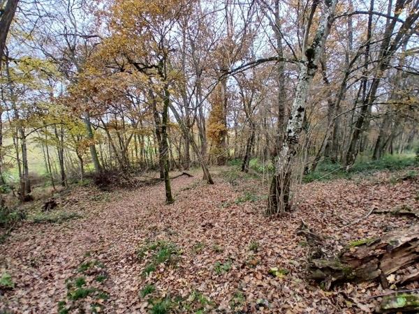 Vente / Maison de maître