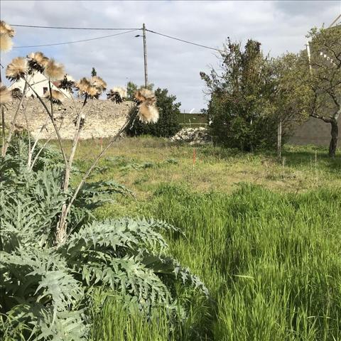 Terrain à vendre |  Breuil-Bois-Robert |  588 m²