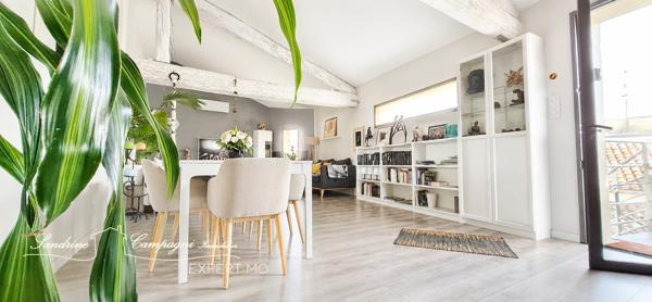 Superbe T3 avec grande terrasse avec vue, vendu meublé