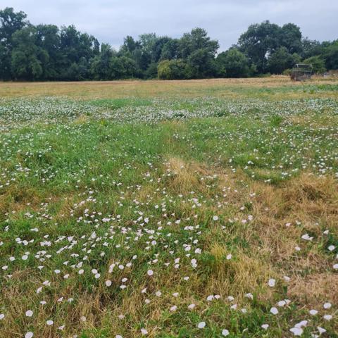 Terrain à vendre de 1 616,00 m² COUTRAS (33)