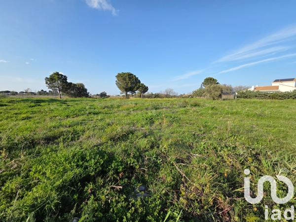 Terrain à vendre 2 689 m² Perpignan