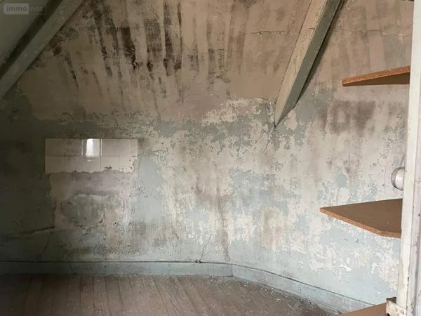 Achat - Immeuble Mayenne 53100 9 pièces 80 m 2 35 m 2