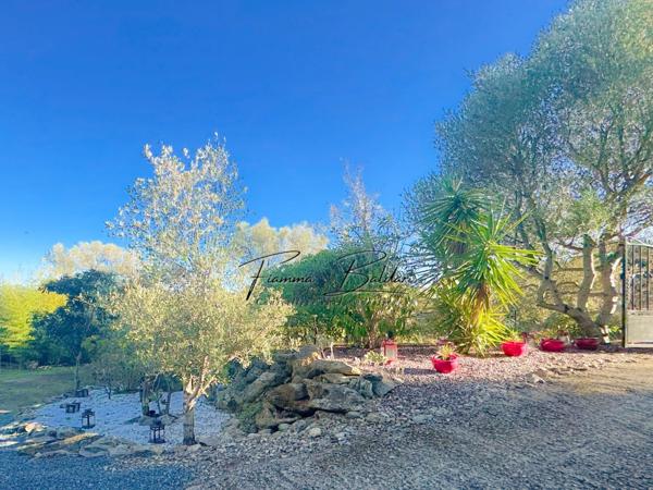 À vendre Propriété, Terrain 1 115m², Casta, Santo Pierto di Tenda (20)