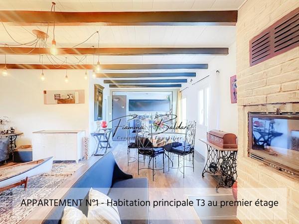 À vendre Propriété, Terrain 1 115m², Casta, Santo Pierto di Tenda (20)