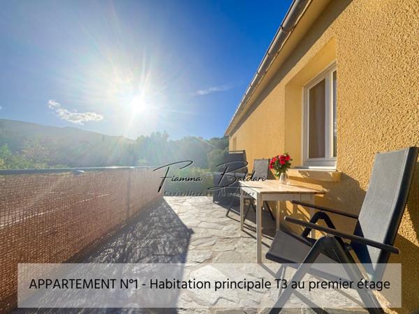 À vendre Propriété, Terrain 1 115m², Casta, Santo Pierto di Tenda (20)